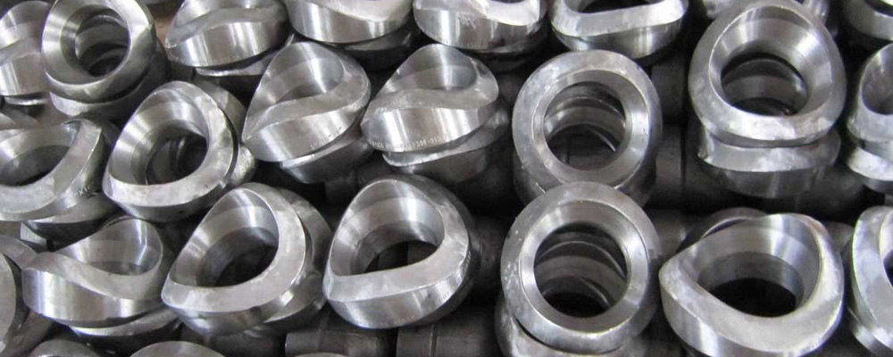 Duplex Steel S31803 / S32205 Olets