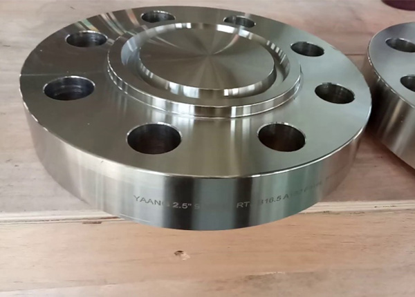 Stainless Steel 317L Ring Type Joint Flanges