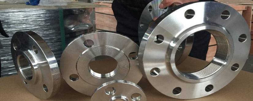 Stainless Steel 304L Flanges