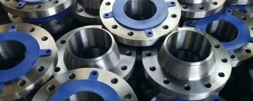 Stainless Steel 317 Flanges